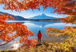 Image result for Japan Autumn Wallpaper