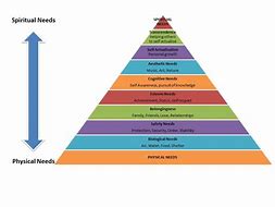 Image result for Pyramid of Abraham Maslow