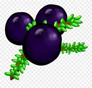 Image result for Huckleberry ClipArt