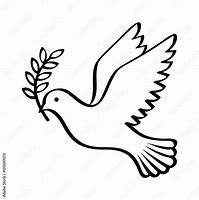 Image result for Dove Carrying Olive Branch