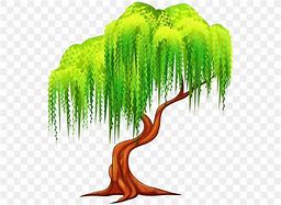 Image result for Willow Tree Clip Art Colorful