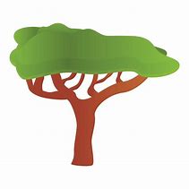 Image result for Safari Tree Cartoon