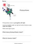 Image result for Science Photosynthesis Worksheets