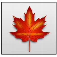 Image result for Canada Maple Leaf Vector