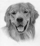 Image result for Cool Drawings of Dogs Realistic