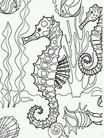 Image result for Underwater Animals Coloring Pages