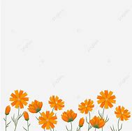 Image result for Orange Border Garden