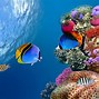 Image result for Sea Laptop Wallpaper