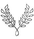 Image result for Olive Branch Symbolism