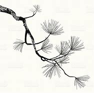 Image result for Tree Branch Line Art