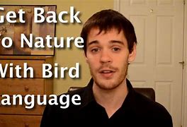 Image result for Nature of Language Image