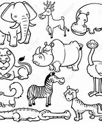 Image result for Colour in Animals