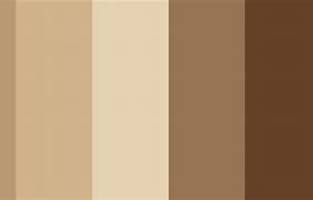 Image result for Color Tone for Security