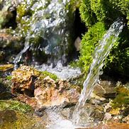 Image result for Spring Water Flowing