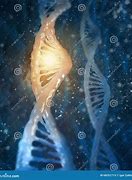 Image result for Biochemistry DNA