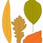 Image result for Fall Leaf Shapes Printable