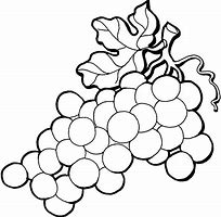 Image result for Grapes ClipArt Black and White