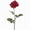 Image result for Single Stem Red Rose