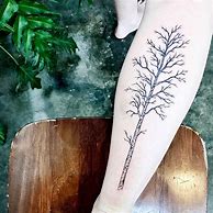 Image result for Small Birch Trees Tattoos