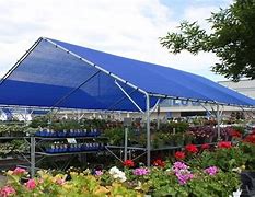 Image result for Shade Cloth On Lemon Tree