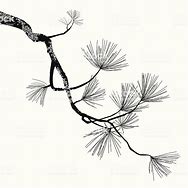 Image result for Tree Branch Pencil Drawing