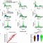 Image result for Model Generalization Neuronal Network