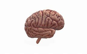 Image result for Artificial Intelengence in Human Brain