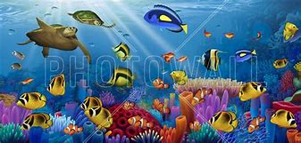 Image result for Sea Life Wall Art