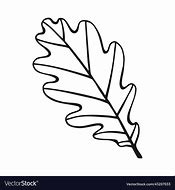 Image result for oak leaf outline