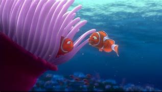 Image result for How to Draw Finding Nemo