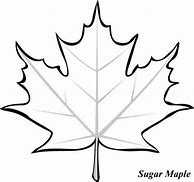 Image result for Maple Leaf Coloring