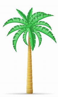 Image result for Palm Tree Vector Illustration