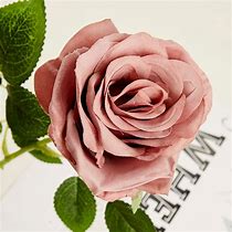 Image result for Dusty Rose Color Flowers