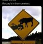 Image result for Funny Signs I Love You