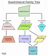 Image result for Quadrilateral Hierarchy Chart