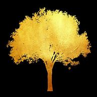 Image result for Golden Tree Leaves