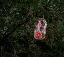 Image result for Halloween Tree Lights