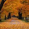 Image result for Fall Slide Background