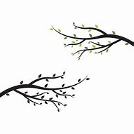 Image result for Tree Branch Logo