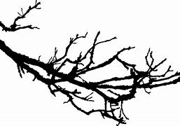 Image result for Tree Branch Line Art