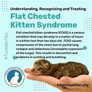 Image result for Flat Rib Cage