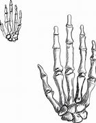 Image result for Skeleton Hand Pencil Sketch