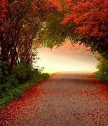 Image result for Free Fall Backgrounds Autumn Trees