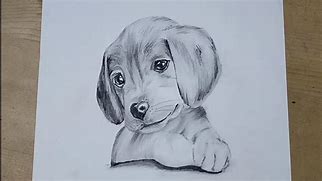 Image result for Puppy Dog Coloring Pages