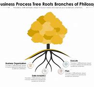 Image result for Philosophy Branches