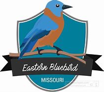 Image result for Missouri State Bird Coloring Page