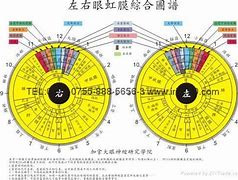 Image result for The Eye Iridology Reading Chart