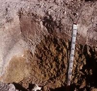 Image result for Soil