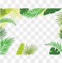 Image result for White Leaf Border