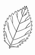 Image result for Easy Leaf Coloring Pages